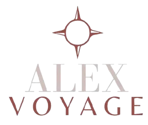 alexvoyaz.ildc-india.org