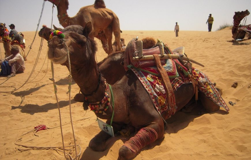 Golden Triangle Tours of India